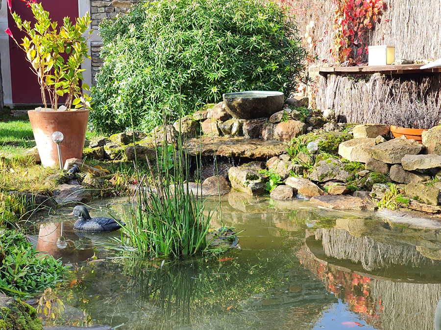 Création de bassin Massy